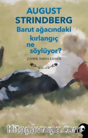 Barut Ağacındaki Kırlangıç Ne Söylüyor?