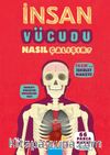 İnsan Vücudu Nasıl Çalışır?
