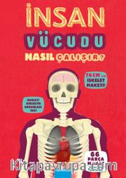 İnsan Vücudu Nasıl Çalışır?