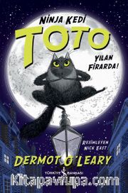 Ninja Kedi Toto Yilan Firarda!
