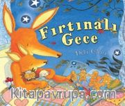 Fırtınalı Gece
