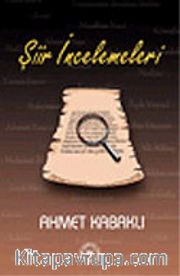 Şiir İncelemeleri