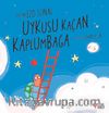 Uykusu Kaçan Kaplumbağa
