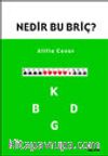 Nedir Bu Briç?