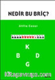 Nedir Bu Briç?
