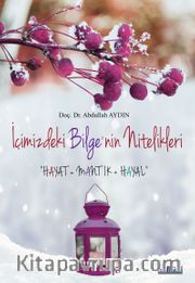 İçimizdeki Bilge'nin Nitelikleri