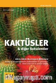 Kaktüsler