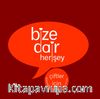Bize Dair Her Şey