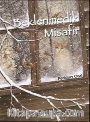 Beklenmedik Misafir