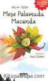 Meşe Palamudu Macanda