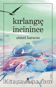 Kırlangıç İncinince