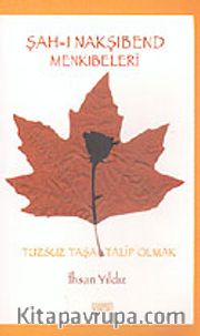 Şah-ı Nakşibend Menkıbeleri: Tuzsuz Taşa Talip Olmak