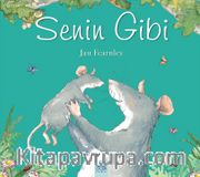 Senin Gibi