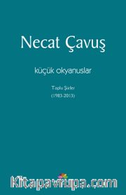 Küçük Okyanuslar