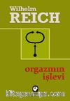 Orgazmın İşlevi