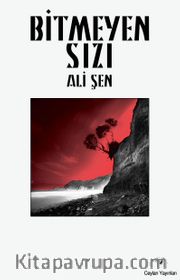 Bitmeyen Sızı