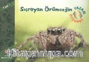Sıçrayan Örümceğin Yaşam Döngüsü