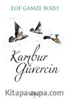 Kambur Güvercin