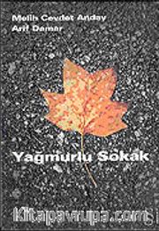 Yağmurlu Sokak