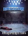Turkish Baths: A Light onto a Tradition and Culture