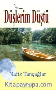 Düşlerim Düştü