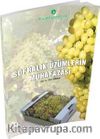 Sofralık Üzümlerin Muhafazası