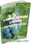 Yaban Mersini (Likapa) Yetiştiriciliği