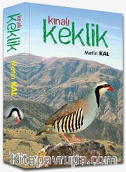 Kınalı Keklik