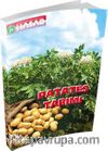 Patates Tarımı