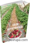 Çilek Yetiştiriciliği