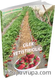 Çilek Yetiştiriciliği