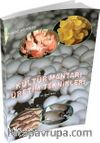 Kültür Mantarı Üretim Teknikleri