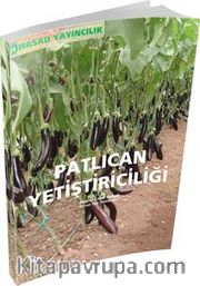 Patlıcan Yetiştiriciliği
