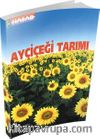 Ayçiçeği Tarımı