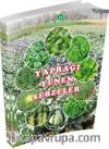 Yaprağı Yenen Sebzeler