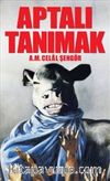 Aptalı Tanımak