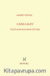 Canlı Alev & İtki ile Ruhun Bağı Üstüne