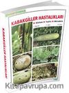 Kabakgiller Hastalıkları & Gözlem Teşhis Mücadele