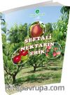 Şeftali Nektarin Erik