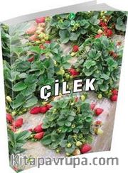 Çilek