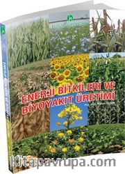 Enerji Bitkileri ve Biyoyakıt Üretimi