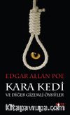 Kara Kedi ve Diğer Gizemli Öyküler