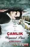 Çamlık