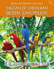 Yağmur Ormanı Besin Zincirleri