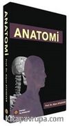 Anatomi