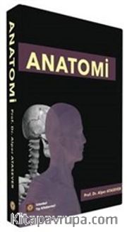 Anatomi