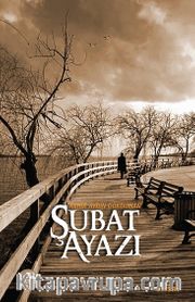 Şubat Ayazı