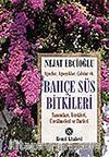 Bahçe Süs Bitkileri