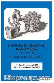 Endüstriyel Demokrasi Bağlamında Türkiye'de Kamu Sendikacılığı