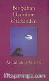 Bir Şahan Uçurdum Ötükenden